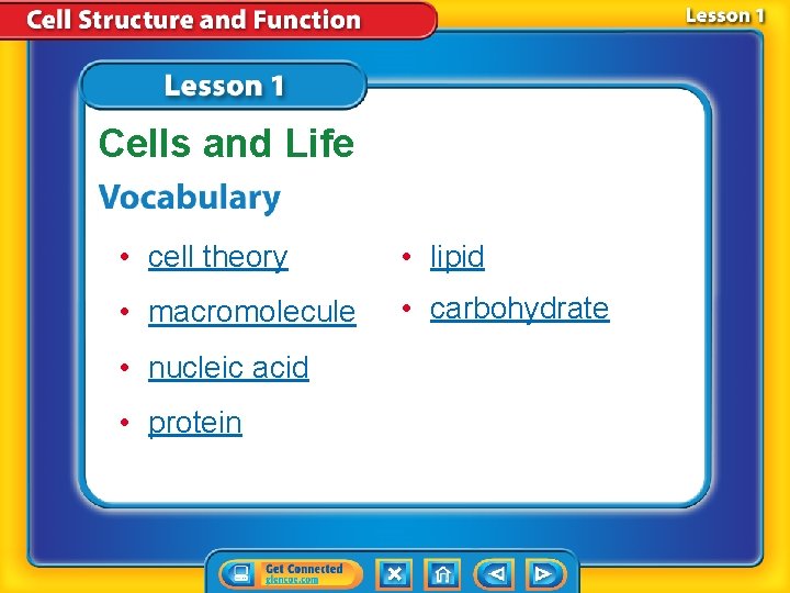 Cells and Life • cell theory • lipid • macromolecule • carbohydrate • nucleic Cells and Life • cell theory • lipid • macromolecule • carbohydrate • nucleic