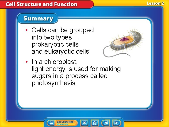 • Cells can be grouped into two types— prokaryotic cells and eukaryotic cells. • Cells can be grouped into two types— prokaryotic cells and eukaryotic cells.
