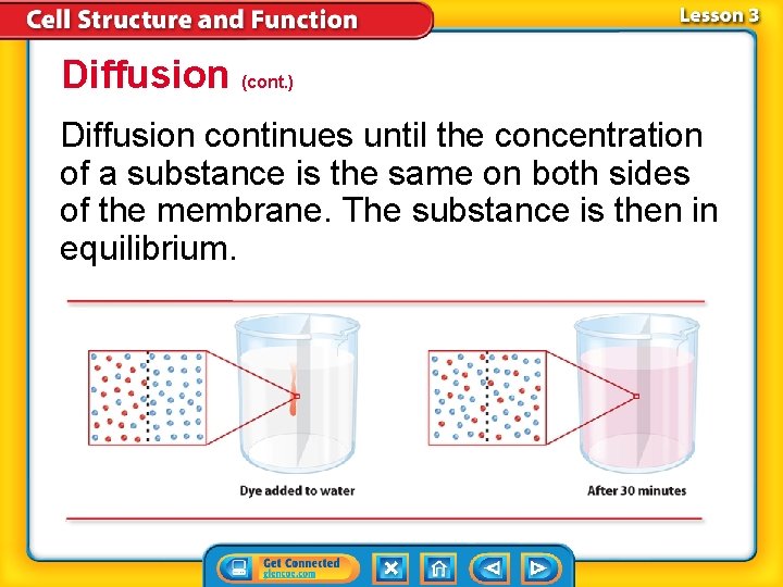 Diffusion (cont. ) Diffusion continues until the concentration of a substance is the same Diffusion (cont. ) Diffusion continues until the concentration of a substance is the same