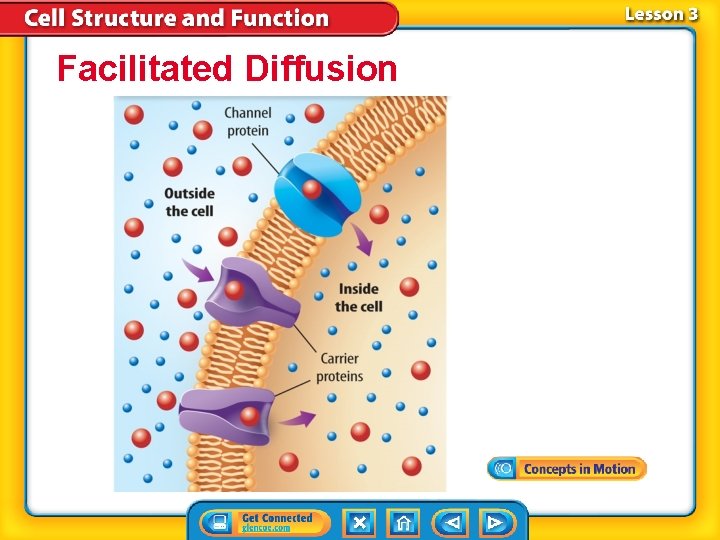 Facilitated Diffusion Facilitated Diffusion