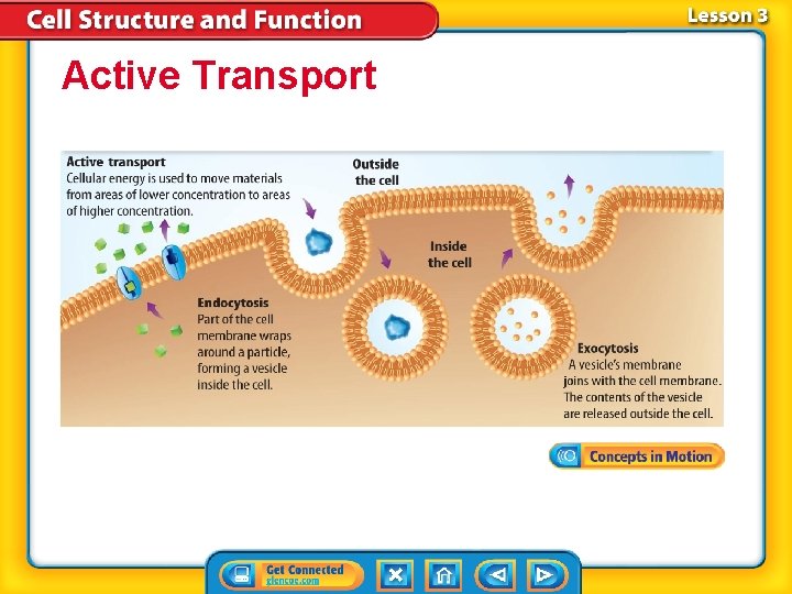 Active Transport Active Transport