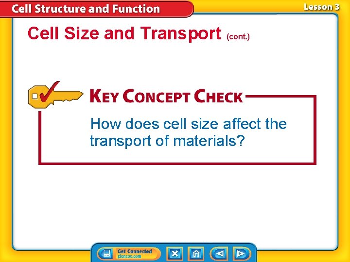 Cell Size and Transport (cont. ) How does cell size affect the transport of Cell Size and Transport (cont. ) How does cell size affect the transport of