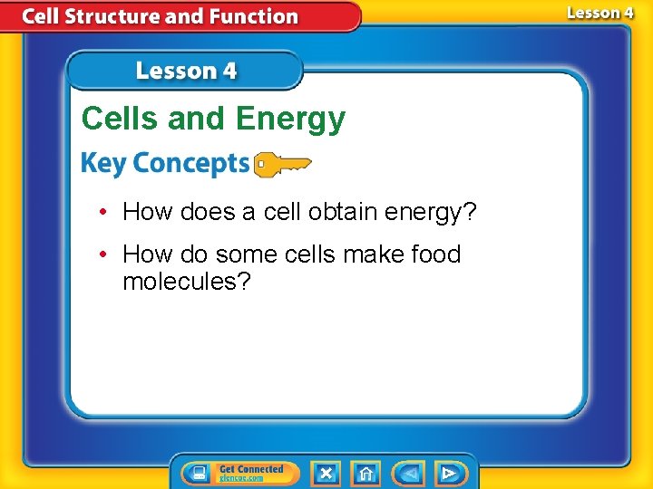 Cells and Energy • How does a cell obtain energy? • How do some Cells and Energy • How does a cell obtain energy? • How do some