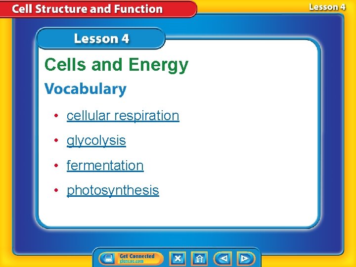 Cells and Energy • cellular respiration • glycolysis • fermentation • photosynthesis Cells and Energy • cellular respiration • glycolysis • fermentation • photosynthesis