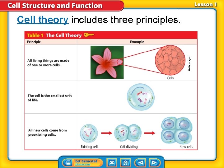 Getty Images Cell theory includes three principles. Getty Images Cell theory includes three principles.