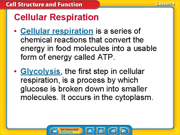 Cellular Respiration • Cellular respiration is a series of chemical reactions that convert the Cellular Respiration • Cellular respiration is a series of chemical reactions that convert the