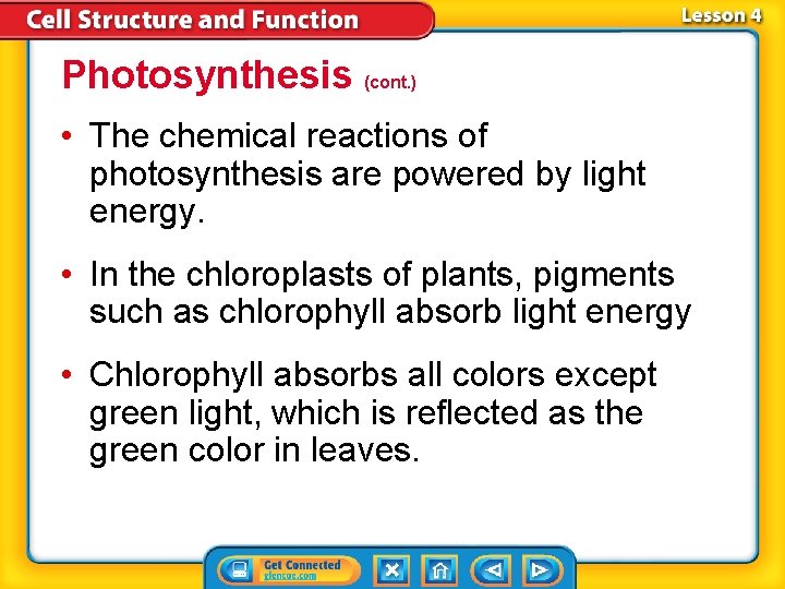 Photosynthesis (cont. ) • The chemical reactions of photosynthesis are powered by light energy. Photosynthesis (cont. ) • The chemical reactions of photosynthesis are powered by light energy.