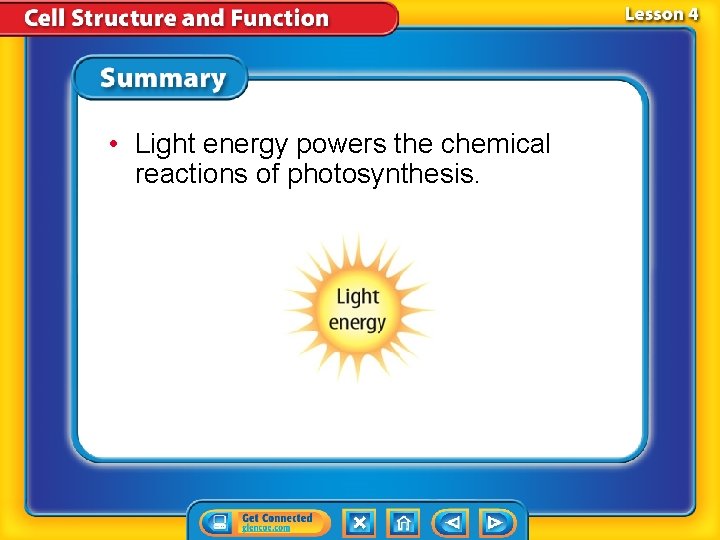 • Light energy powers the chemical reactions of photosynthesis. • Light energy powers the chemical reactions of photosynthesis.