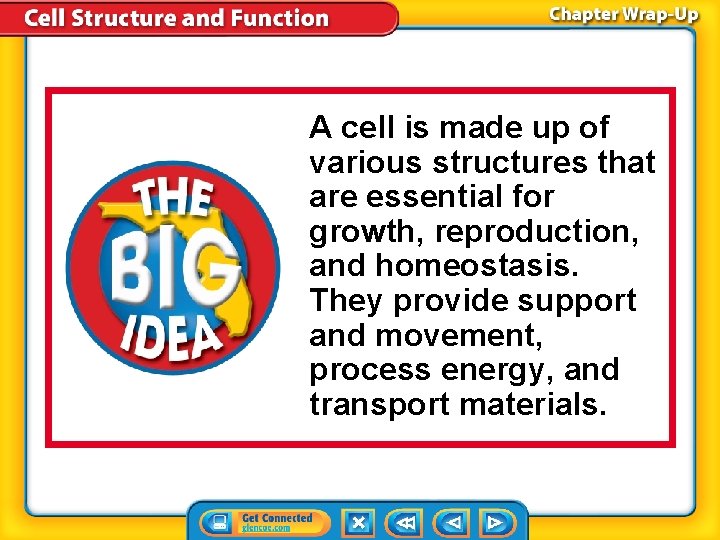 A cell is made up of various structures that are essential for growth, reproduction, A cell is made up of various structures that are essential for growth, reproduction,