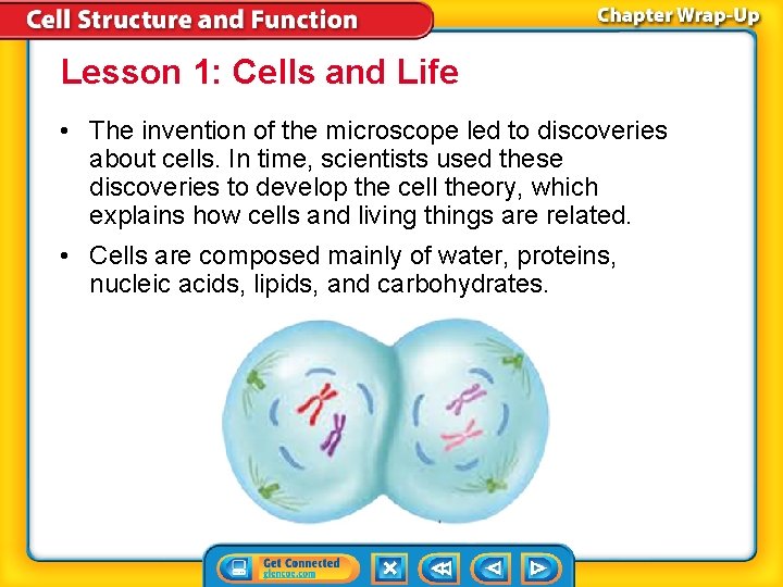 Lesson 1: Cells and Life • The invention of the microscope led to discoveries Lesson 1: Cells and Life • The invention of the microscope led to discoveries