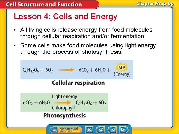 Lesson 4: Cells and Energy • All living cells release energy from food molecules Lesson 4: Cells and Energy • All living cells release energy from food molecules