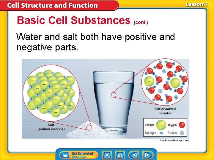 Basic Cell Substances (cont. ) Water and salt both have positive and negative parts. Basic Cell Substances (cont. ) Water and salt both have positive and negative parts.