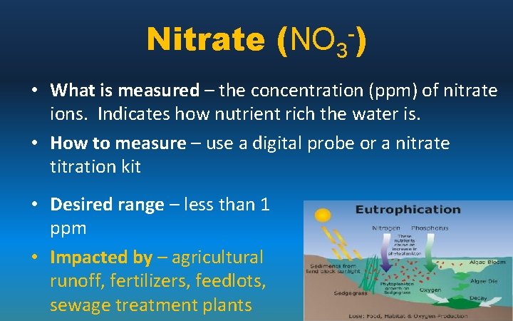 Nitrate (NO 3 -) • What is measured – the concentration (ppm) of nitrate