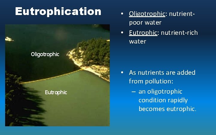 Eutrophication • Oligotrophic: nutrientpoor water • Eutrophic: nutrient-rich water Oligotrophic Eutrophic • As nutrients