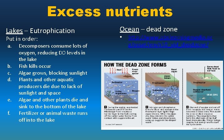 Excess nutrients Lakes – Eutrophication Put in order: a. b. c. d. e. f.