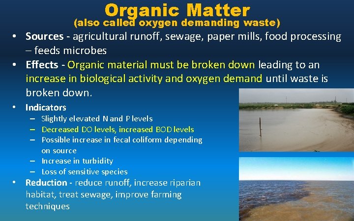 Organic Matter (also called oxygen demanding waste) • Sources - agricultural runoff, sewage, paper