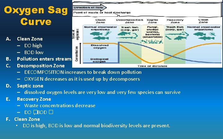 Oxygen Sag Curve A. B. C. D. E. F. Clean Zone – DO high