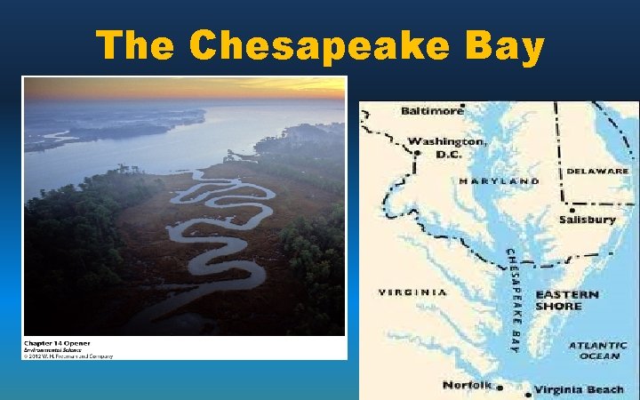 The Chesapeake Bay 
