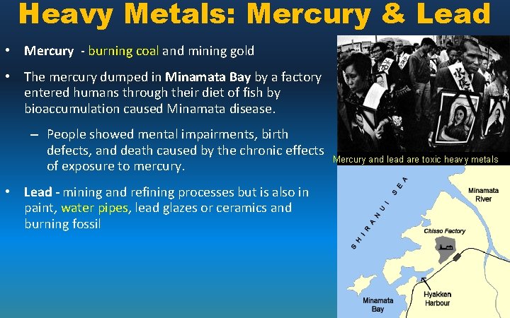 Heavy Metals: Mercury & Lead • Mercury - burning coal and mining gold •