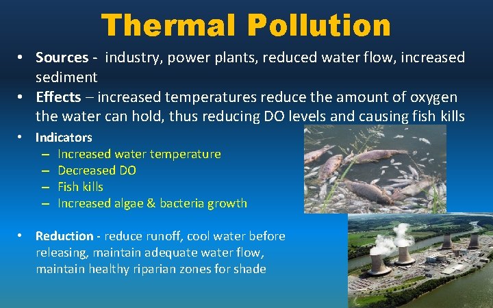 Thermal Pollution • Sources - industry, power plants, reduced water flow, increased sediment •
