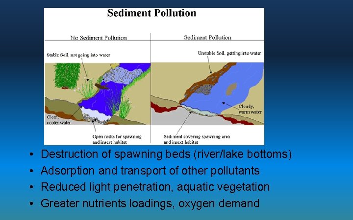  • • Destruction of spawning beds (river/lake bottoms) Adsorption and transport of other
