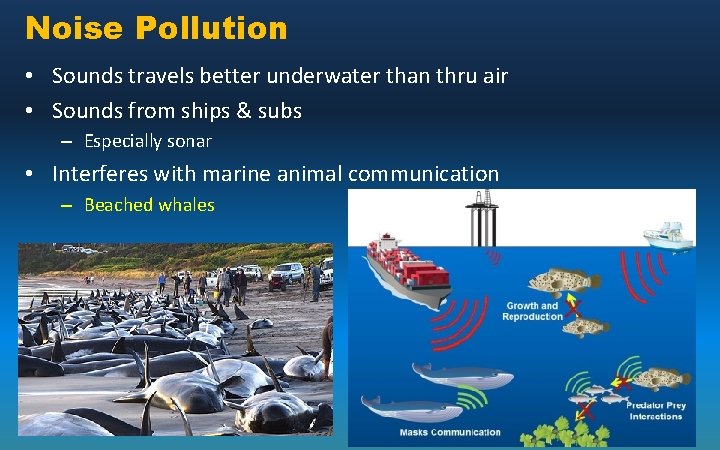 Noise Pollution • Sounds travels better underwater than thru air • Sounds from ships