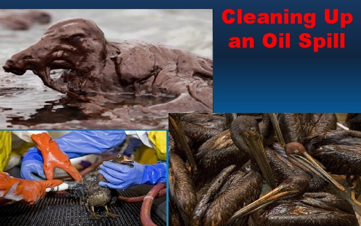 Cleaning Up an Oil Spill 