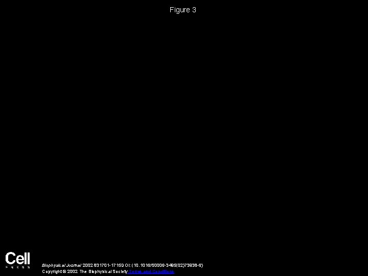 Figure 3 Biophysical Journal 2002 831701 -1715 DOI: (10. 1016/S 0006 -3495(02)73938 -6) Copyright