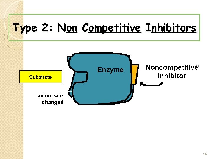 Type 2: Non Competitive Inhibitors Substrate Enzyme Noncompetitive 16 Inhibitor active site changed 16