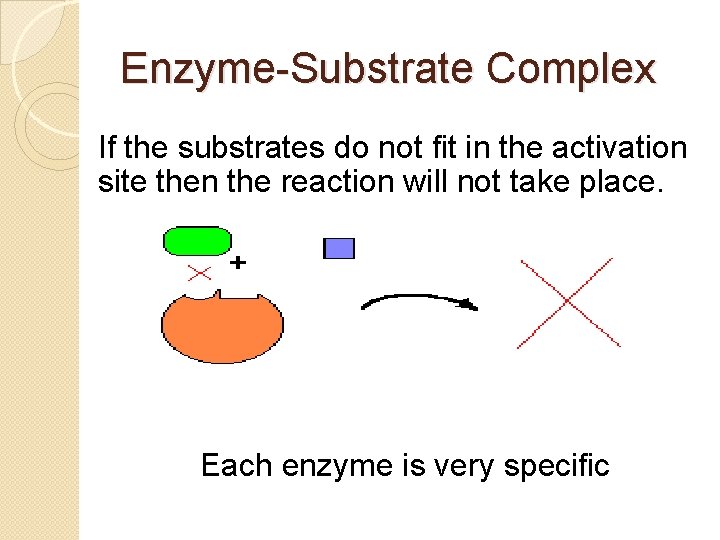 Enzyme-Substrate Complex If the substrates do not fit in the activation site then the