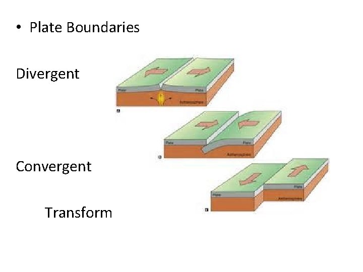 . • Plate Boundaries Divergent Convergent Transform 