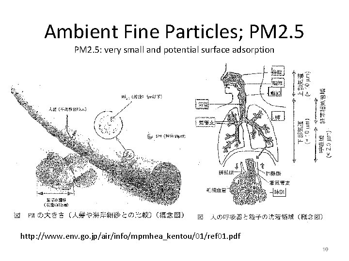 Ambient Fine Particles; PM 2. 5: very small and potential surface adsorption http: //www.