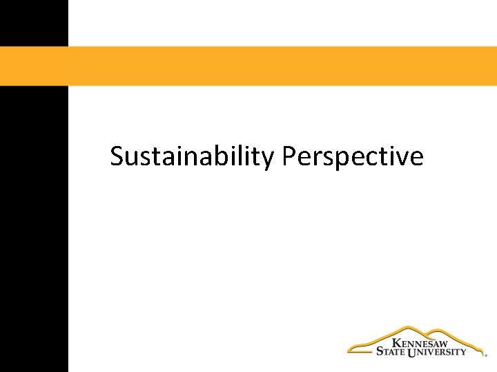Sustainability Perspective 