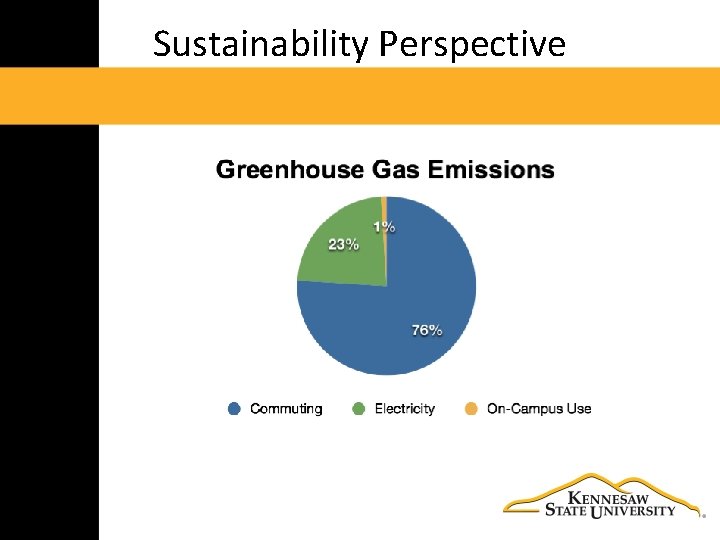 Sustainability Perspective 