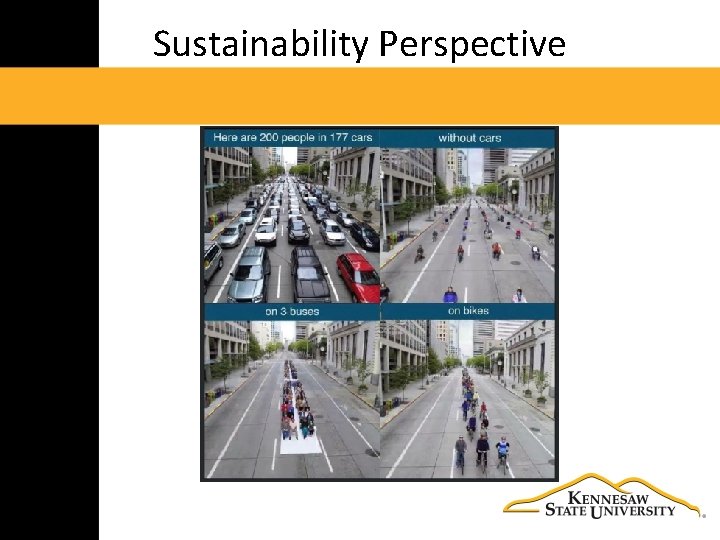 Sustainability Perspective 