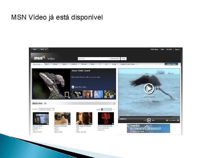 MSN Vídeo já está disponível 