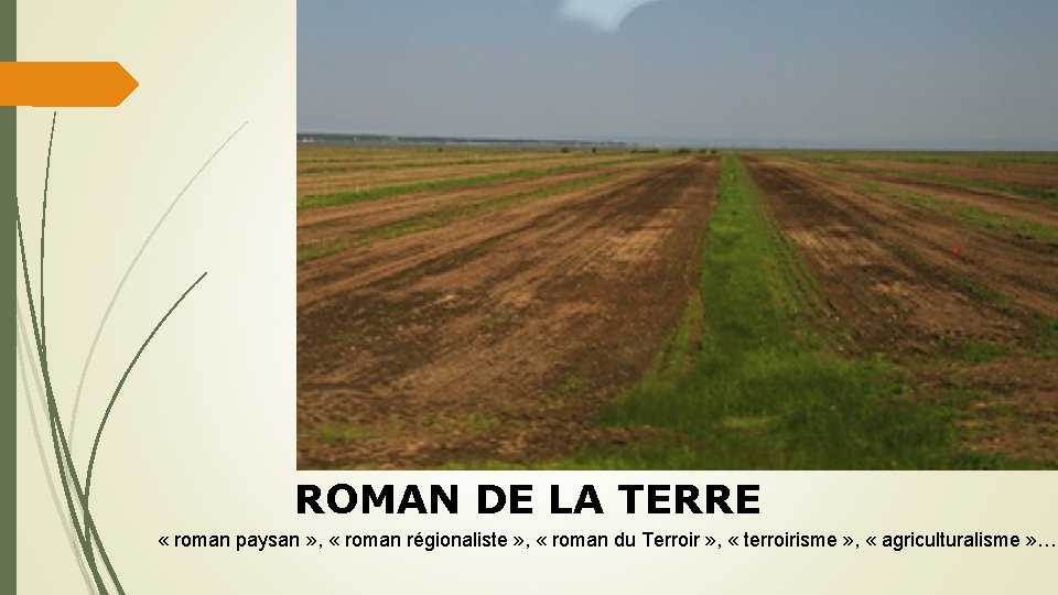 ROMAN DE LA TERRE « roman paysan » , « roman régionaliste » ,