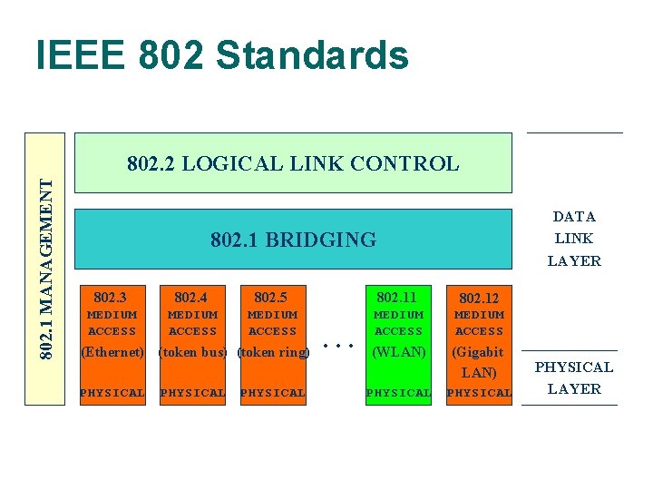 IEEE 802 Standards 802. 1 MANAGEMENT 802. 2 LOGICAL LINK CONTROL DATA LINK LAYER IEEE 802 Standards 802. 1 MANAGEMENT 802. 2 LOGICAL LINK CONTROL DATA LINK LAYER