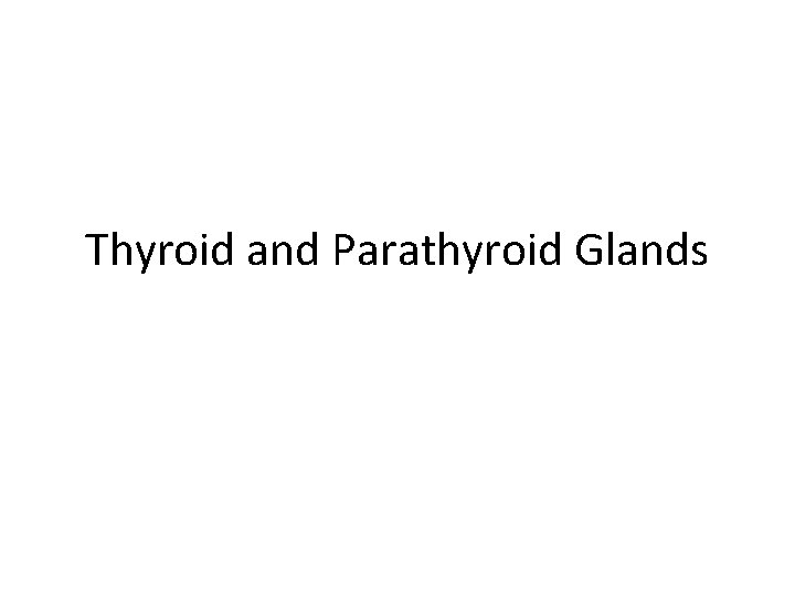 Thyroid and Parathyroid Glands 