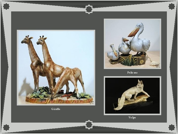 Pelicans Giraffe Volpe 