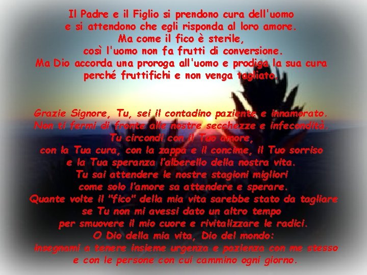 Il Padre e il Figlio si prendono cura dell'uomo e si attendono che egli