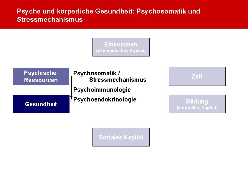 Psyche und körperliche Gesundheit: Psychosomatik und Stressmechanismus Einkommen (ökonomisches Kapital) Psychische Ressourcen Psychosomatik /