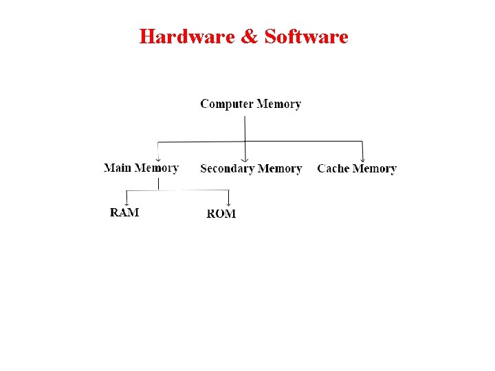 Hardware & Software 