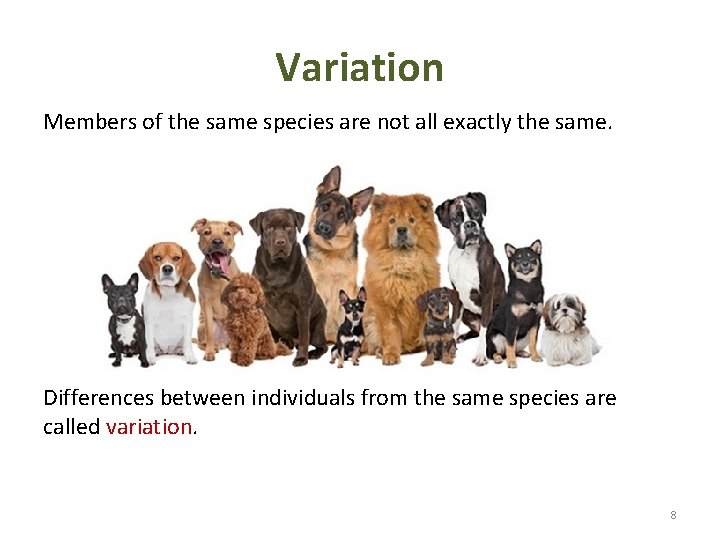 Variation Members of the same species are not all exactly the same. Differences between