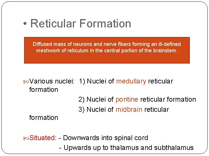  • Reticular Formation Diffused mass of neurons and nerve fibers forming an ill-defined