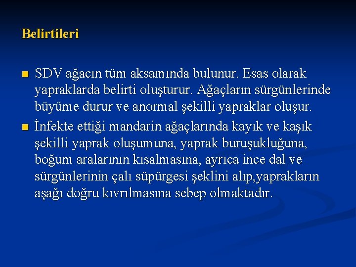 Belirtileri n n SDV ağacın tüm aksamında bulunur. Esas olarak yapraklarda belirti oluşturur. Ağaçların