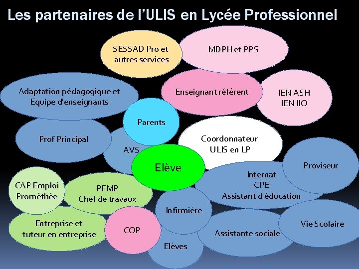 Les partenaires de l’ULIS en Lycée Professionnel SESSAD Pro et autres services Adaptation pédagogique