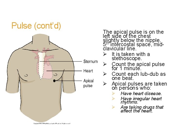 Pulse (cont’d) The apical pulse is on the left side of the chest slightly