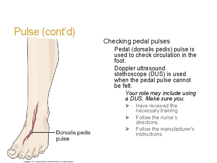 Pulse (cont’d) Checking pedal pulses Pedal (dorsalis pedis) pulse is used to check circulation