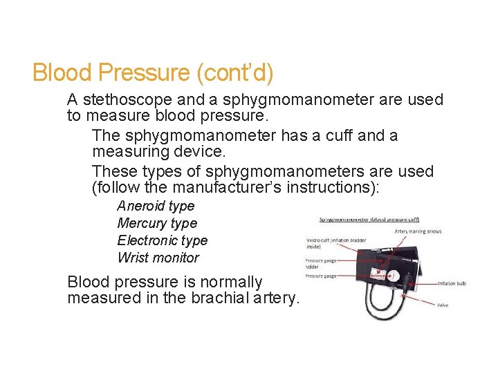 Blood Pressure (cont’d) A stethoscope and a sphygmomanometer are used to measure blood pressure.